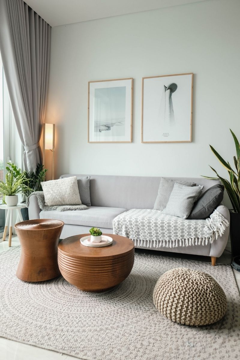 lounge room with house plants